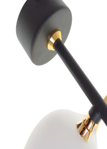 Бра BL-999W/1 5W G/BK Brille (252372221)