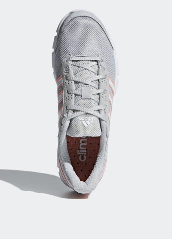 Кроссовки adidas серые демисезоны (75675746)