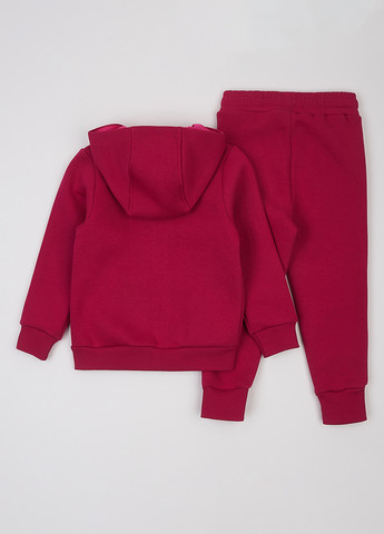 Костюм (толстовка, штани) KRAKO (324748997)