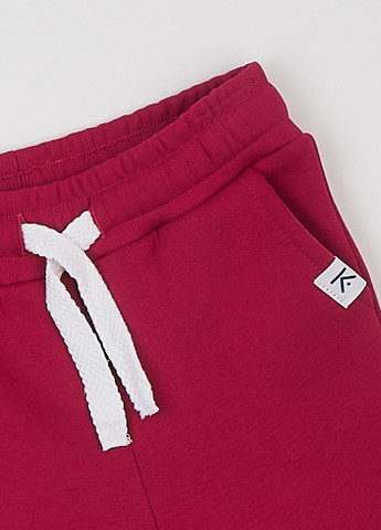 Костюм (толстовка, штани) KRAKO (324748997)