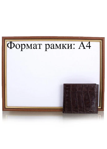 Чоловіче шкіряне портмоне 10,5х8,5х2,5 см Grass (195771807)