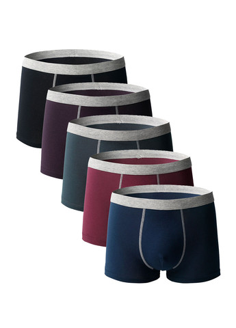 Труси (5 шт.) Mens Underwear (264181950)