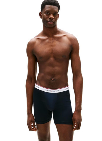 Труси (3 шт.) Tommy Hilfiger (353784074)