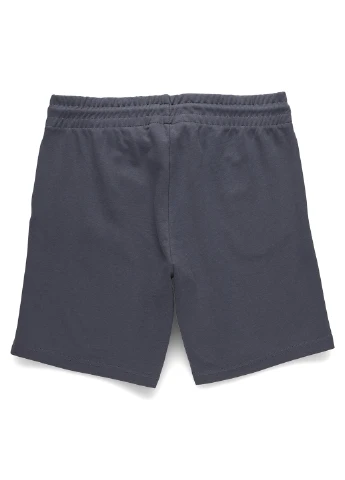 Шорты Jack & Jones (316736300)