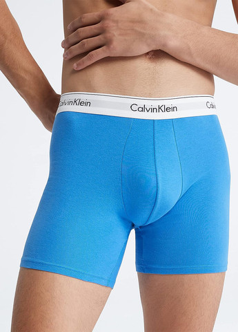 Трусы (3 шт.) Calvin Klein (262886249)