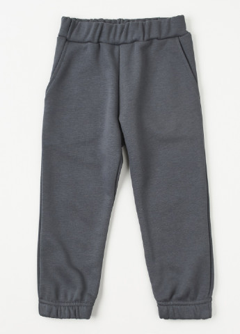 Комбинированный демисезонный костюм (свитшот, брюки) брючный Ляля