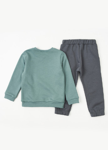 Комбинированный демисезонный костюм (свитшот, брюки) брючный Ляля