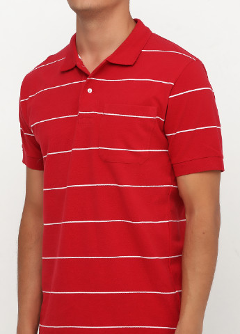Красная футболка-поло для мужчин D.B.C в полоску