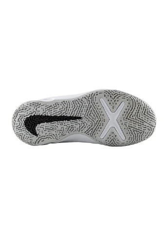 Кросівки TEAM HUSTLE D 10 PS Nike (254546828)