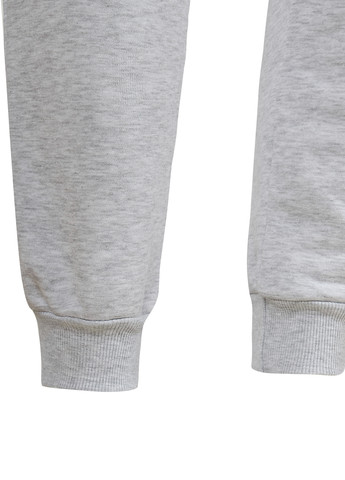 Светло-серые спортивные демисезонные джоггеры брюки Garnamama