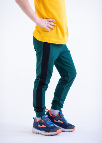 Зеленые спортивные демисезонные брюки джоггеры Vidoli