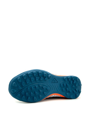 Сороконіжки Caroc (363640726)