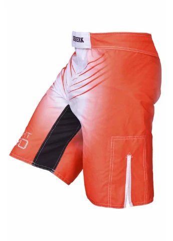 Шорты Berserk Sport (252933877)