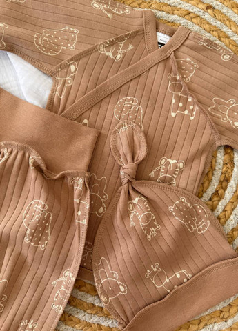 Коричневий демісезонний комплект (сорочечка, повзунки, шапка) Blanka