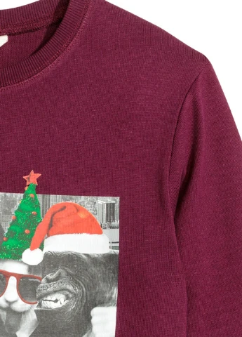 H&M свитшот рисунок бордовый кэжуал