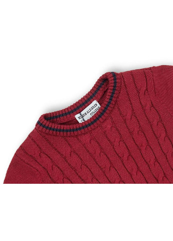 Кофта в'язана з косами (AFB1033-128B-red) NA (251313024)