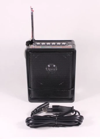 Колонка портативная NS-018U 3Вт USB, SD, FM радио, черная (NS-018U) XPRO (253517592)
