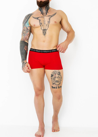 Трусы TOTALFIT (305253186)