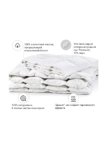 Ковдра MirSon пухова Raffaello 052 зима 172x205 см (2200000003690) No Brand (254012949)