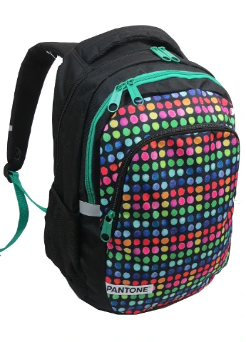 Молодежный рюкзак 32х46х16 см Paso (252416220)