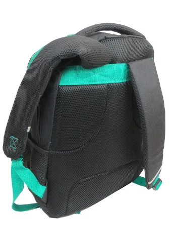 Молодежный рюкзак 32х46х16 см Paso (252416220)
