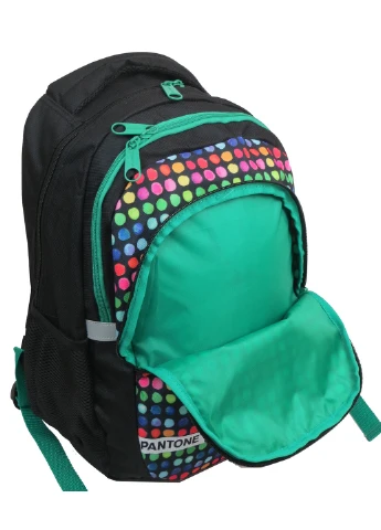Молодежный рюкзак 32х46х16 см Paso (252416220)