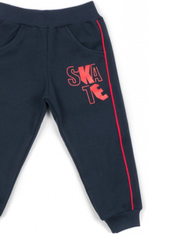 Красный демисезонный костюм десткий "good skate" (13263-116b-gray) Breeze