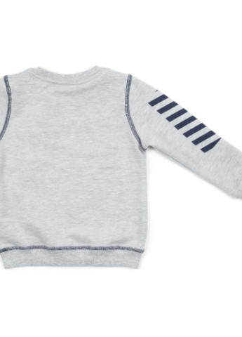 Красный демисезонный костюм десткий "good skate" (13263-116b-gray) Breeze