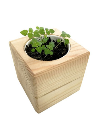 Набор для выращивания Мелисса, 8х8х8 см Экокуб (197656929)