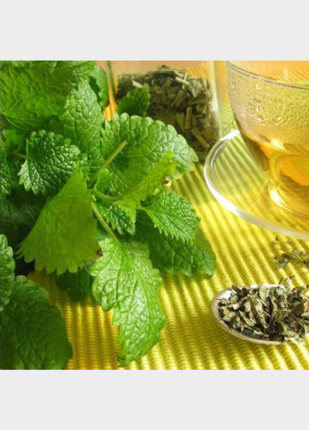 Набор для выращивания Мелисса, 8х8х8 см Экокуб (197656929)