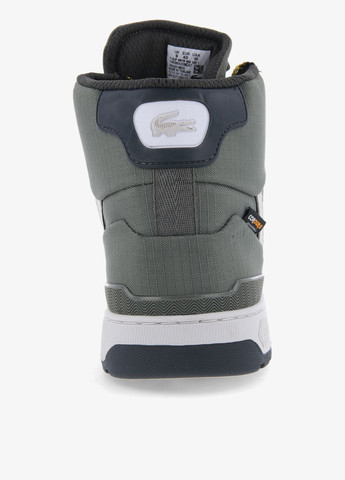 Сіро-зелені Осінні кросівки Lacoste T-CLIP WNTR MID