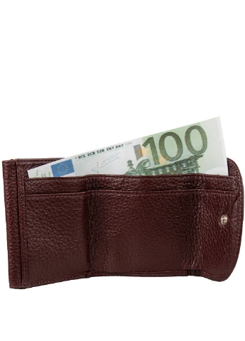 Женский кожаный кошелек 9х8х1,8 см Desisan (232990285)