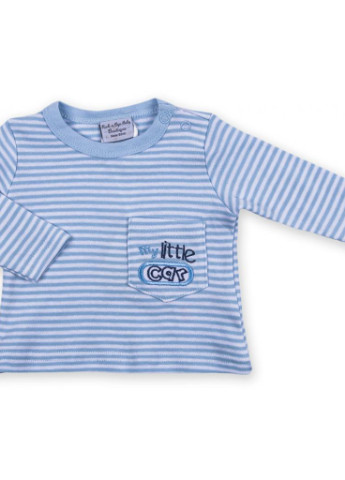 Блакитний демісезонний костюм десткий велюровий блакитний c капюшоном (ep6206.nb) Luvena Fortuna