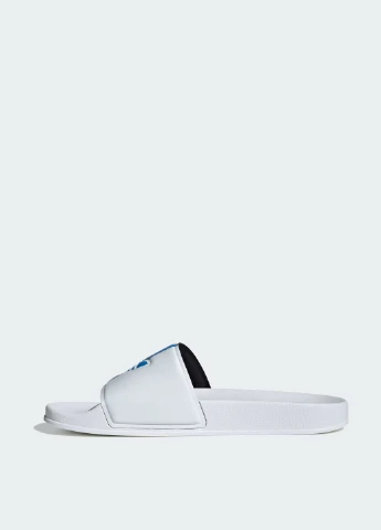 Шльопанці adidas (301881020)