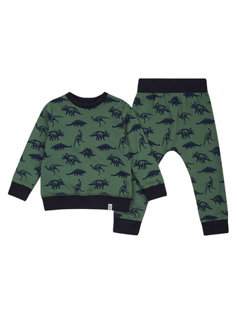 Темно-зеленый демисезонный костюм (свитшот, брюки) брючный ArDoMi