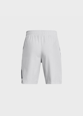 Шорты Under Armour (328001266)