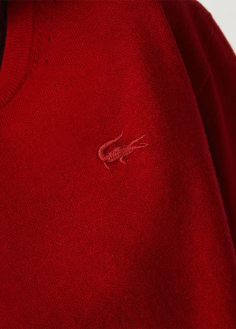 Темно-червоний демісезонний джемпер джемпер Lacoste