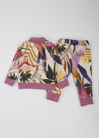 Розовый демисезонный костюм (свитшот, брюки) брючный dexter's