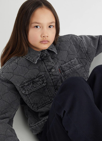 Темно-серая демисезонная куртка Levi's