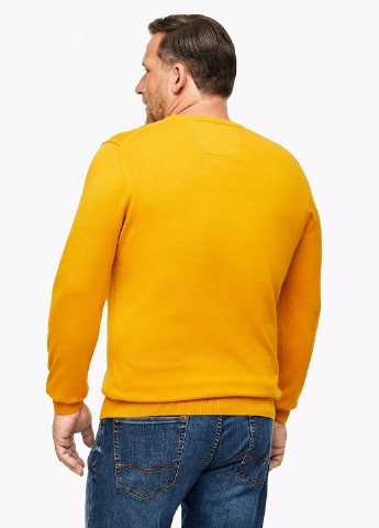 Жовтий демісезонний джемпер джемпер S.Oliver