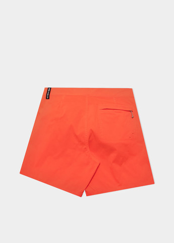 Шорты The North Face (363353734)