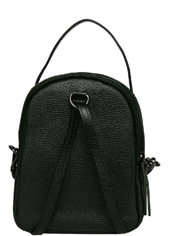 Темно-зеленый кожаный рюкзак Conte Frostini (254368007)