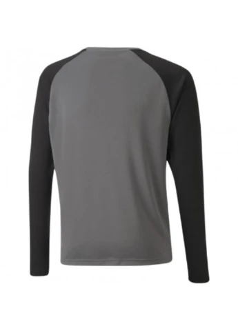 Лонгслів 704939-43 Puma TeamPACER Goalkeeper Jersey логотип комбінований спортивні поліестер