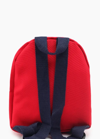 Рюкзак No Brand (254233098)