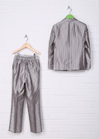 Светло-серый демисезонный костюм (пиджак, брюки) брючный Миа-Стиль