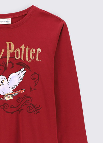 Бордовый лонгслив Coccodrillo