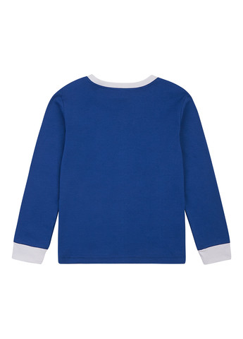 Синий демисезонный кэжуал лонгслив Garnamama динозавр