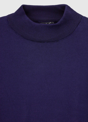 Темно-синій демісезонний светр Figo