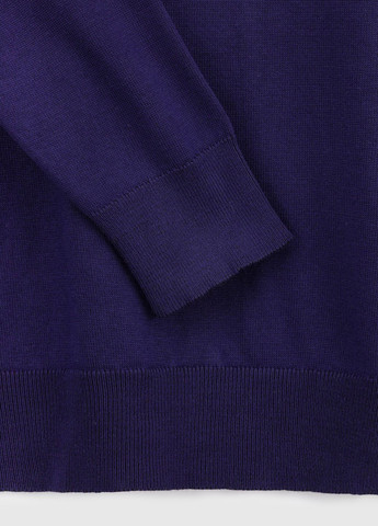 Темно-синій демісезонний светр Figo