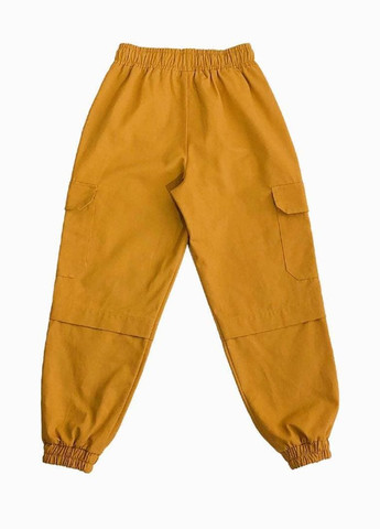 Желтые повседневный демисезонные брюки джоггеры Yumster